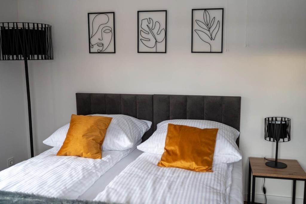 Apartament Nad Szczawniczkiem Мушина Экстерьер фото