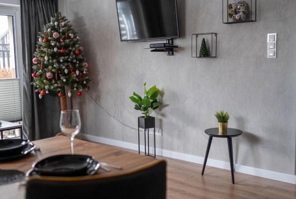 Apartament Nad Szczawniczkiem Мушина Экстерьер фото