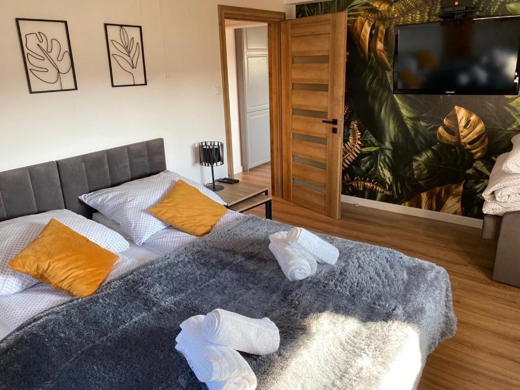 Apartament Nad Szczawniczkiem Мушина Экстерьер фото